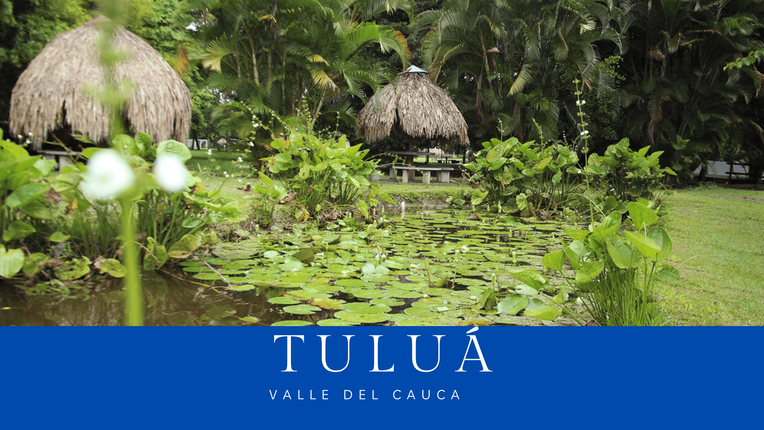 conversatorios_ciudadanos/conversatorio-ciudadano-tulua